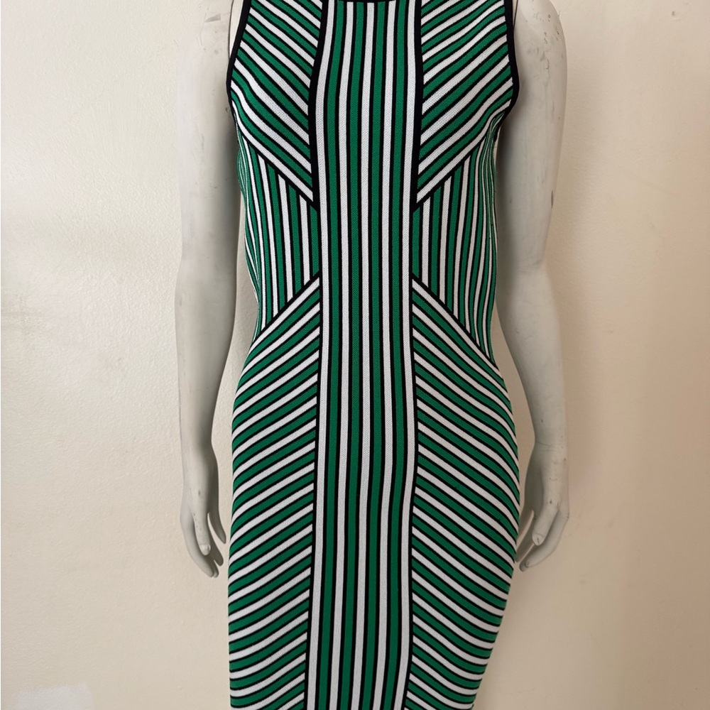 Ronny Kobo Collection Green and Black Striped Midi Dress